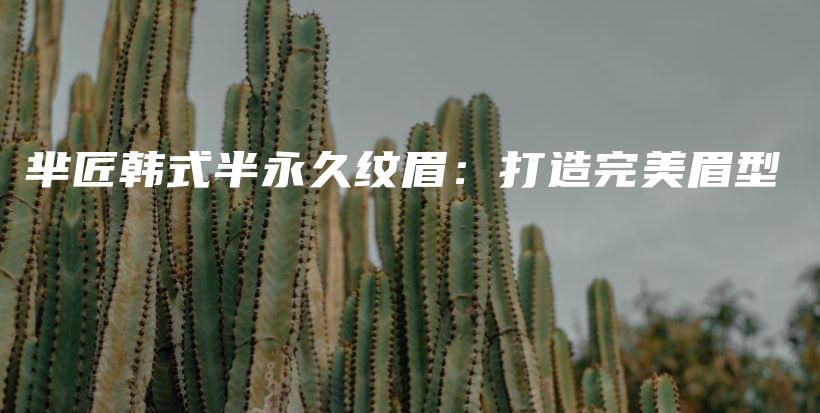 羋匠韓式半永久紋眉：打造完美眉型插圖