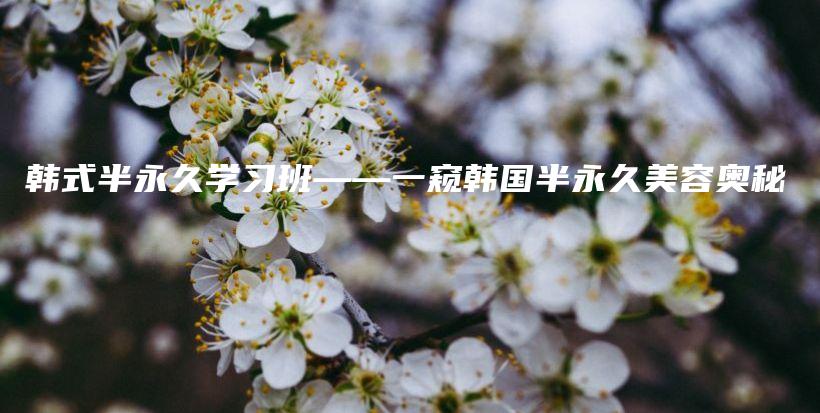 韓式半永久學(xué)習(xí)班——一窺韓國(guó)半永久美容奧秘插圖