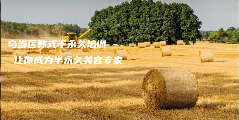 烏當(dāng)區(qū)韓式半永久培訓(xùn) – 讓你成為半永久美容專家插圖