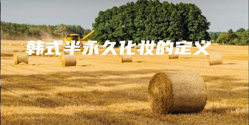 韓式半永久化妝的定義插圖