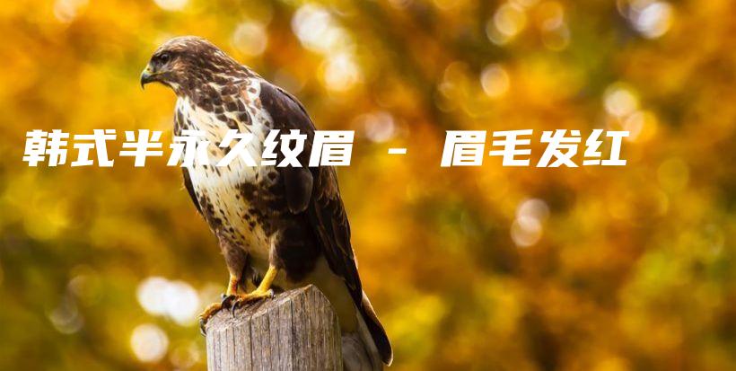 韓式半永久紋眉 – 眉毛發(fā)紅插圖