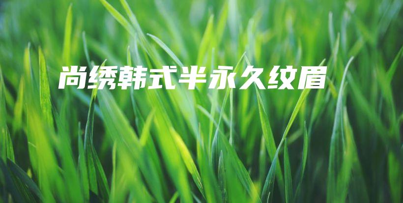 尚繡韓式半永久紋眉插圖
