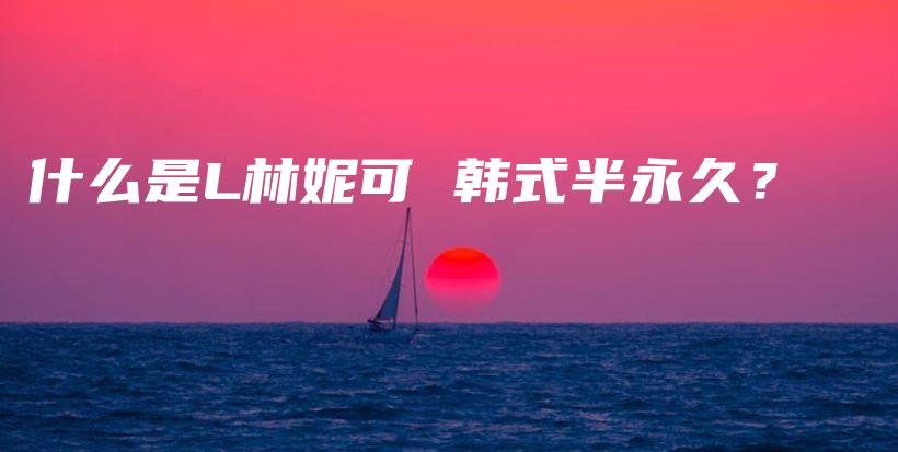 什么是L林妮可 韓式半永久？插圖