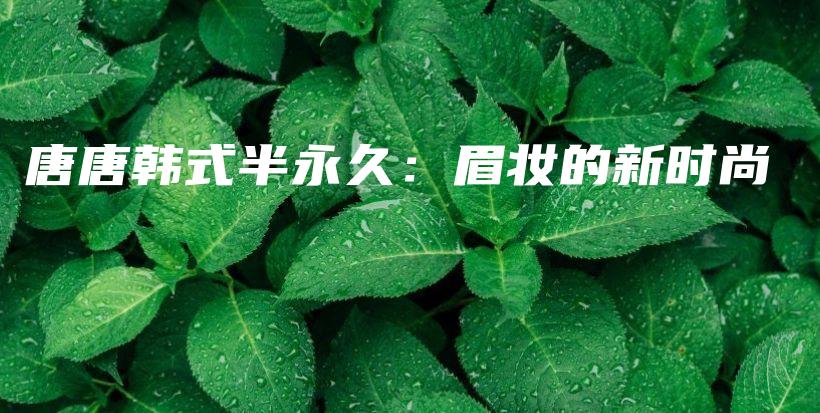 唐唐韓式半永久：眉妝的新時尚插圖