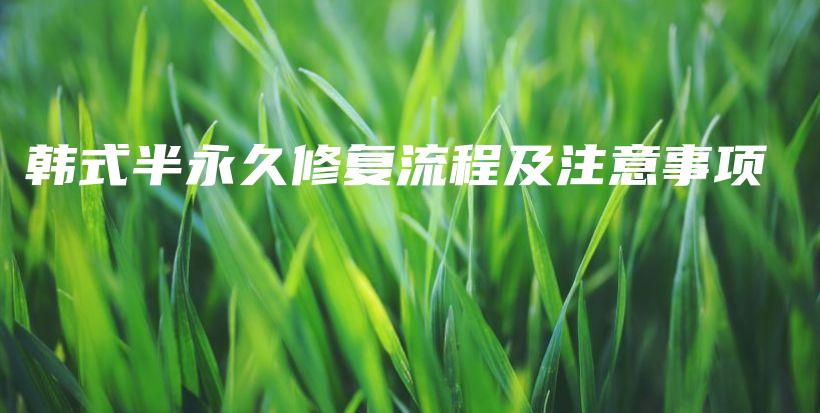 韓式半永久修復(fù)流程及注意事項(xiàng)插圖