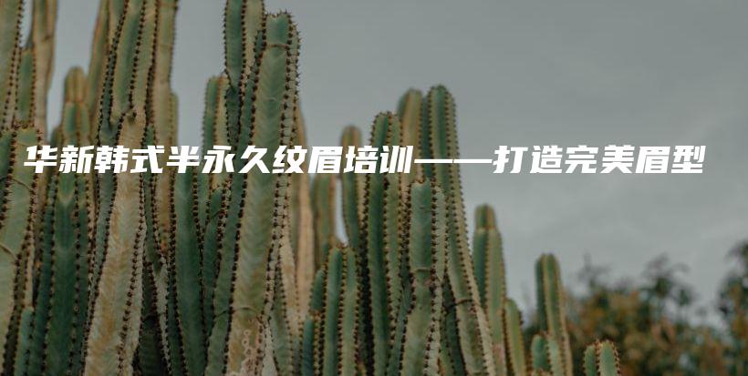 華新韓式半永久紋眉培訓(xùn)——打造完美眉型插圖