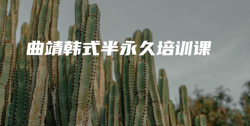 曲靖韓式半永久培訓(xùn)課插圖