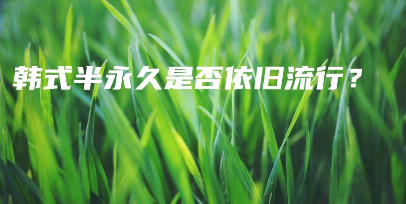 韓式半永久是否依舊流行？插圖