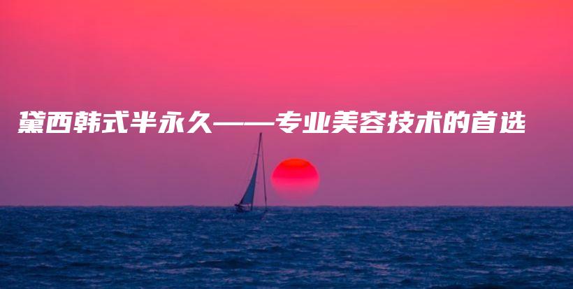 黛西韓式半永久——專業(yè)美容技術(shù)的首選插圖