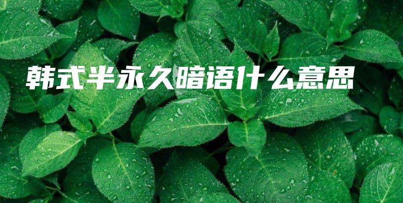 韓式半永久暗語什么意思插圖