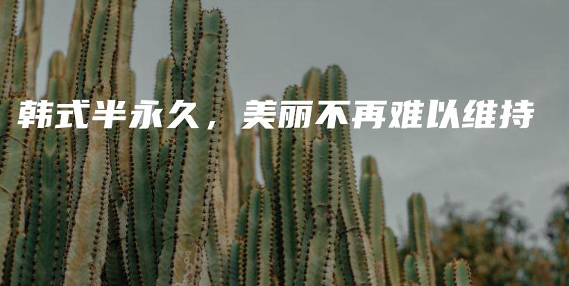韓式半永久，美麗不再難以維持插圖