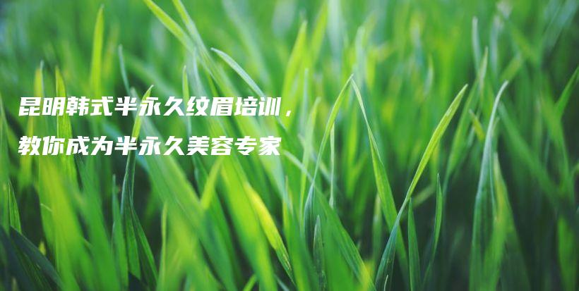 昆明韓式半永久紋眉培訓，教你成為半永久美容專家插圖