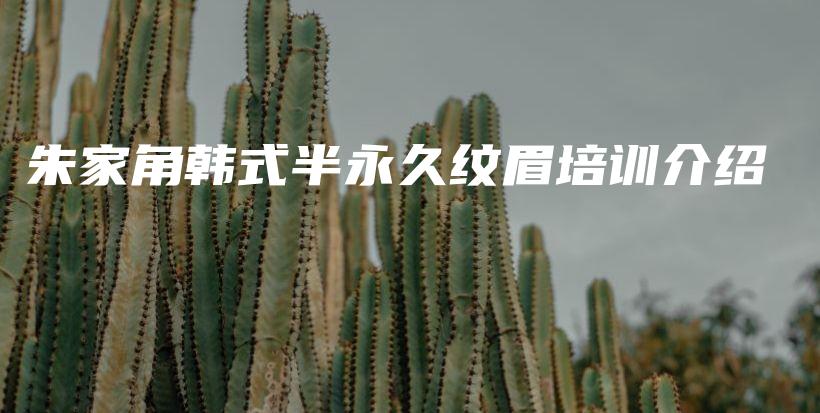 朱家角韓式半永久紋眉培訓(xùn)介紹插圖