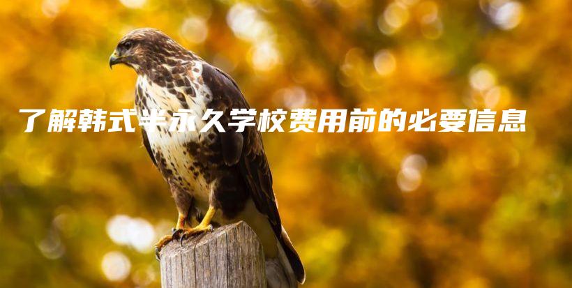 了解韓式半永久學校費用前的必要信息插圖