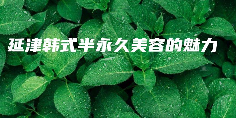延津韓式半永久美容的魅力插圖