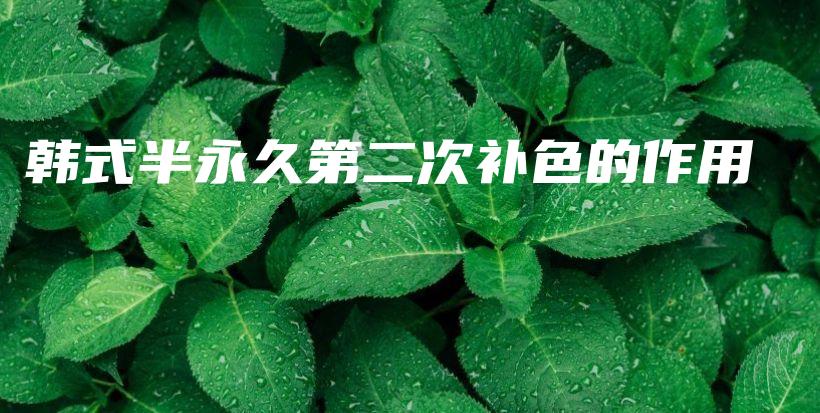 韓式半永久第二次補色的作用插圖