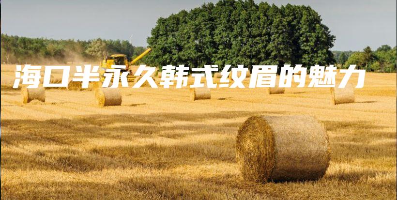 ?？诎胗谰庙n式紋眉的魅力插圖