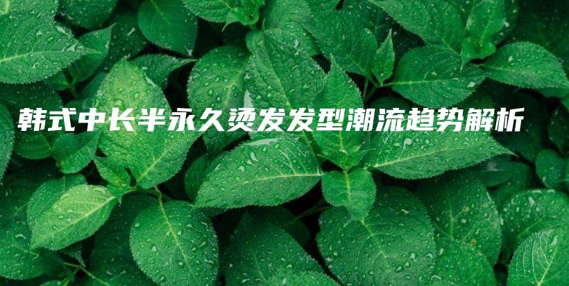 韓式中長半永久燙發(fā)發(fā)型潮流趨勢解析插圖