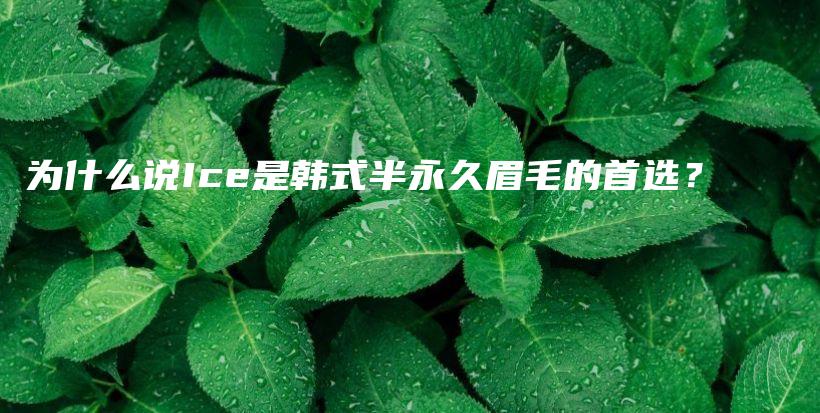 為什么說Ice是韓式半永久眉毛的首選？插圖