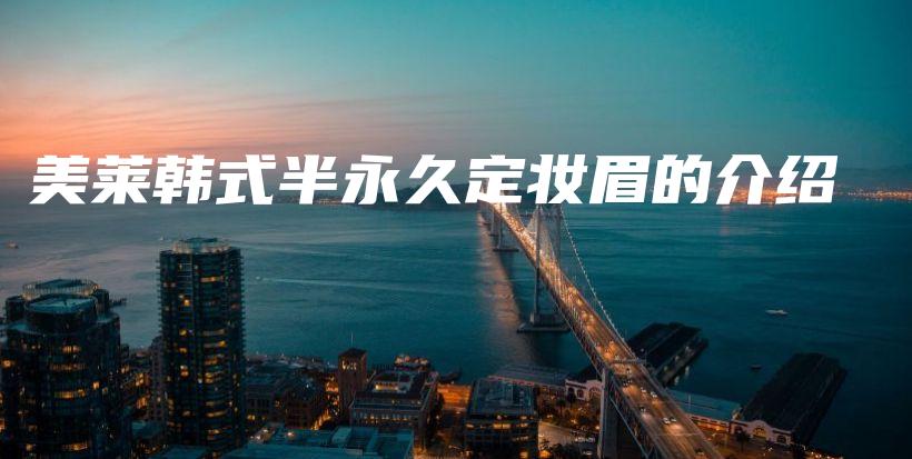 美萊韓式半永久定妝眉的介紹插圖