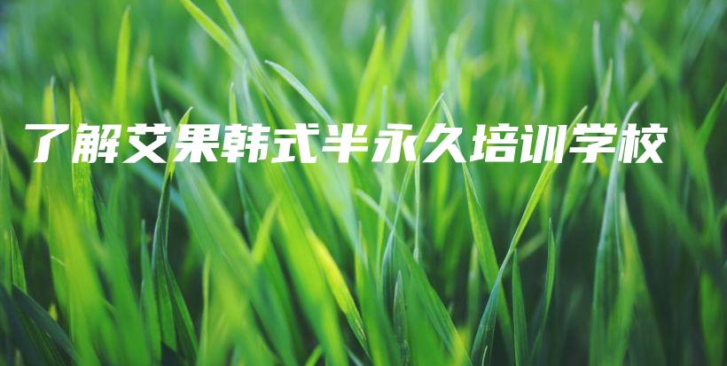 了解艾果韓式半永久培訓(xùn)學(xué)校插圖