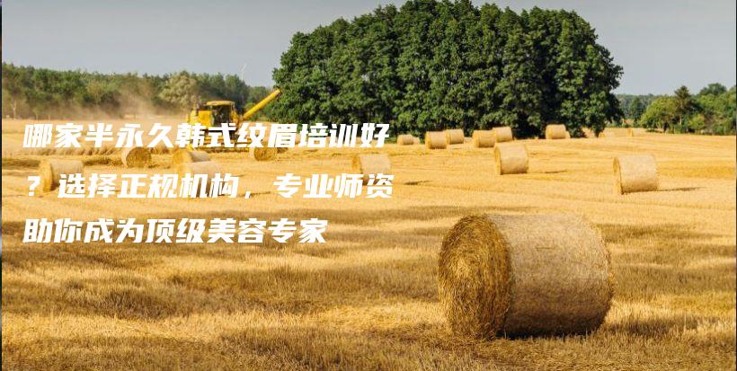 哪家半永久韓式紋眉培訓(xùn)好？選擇正規(guī)機構(gòu)，專業(yè)師資助你成為頂級美容專家插圖