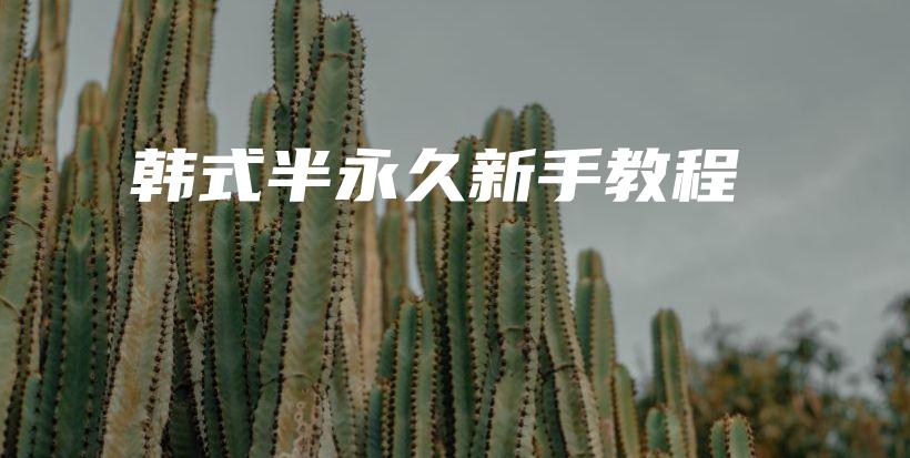 韓式半永久新手教程插圖