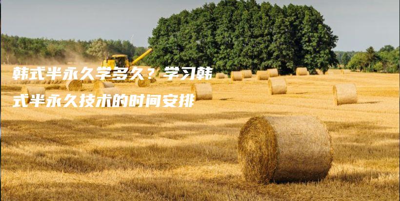 韓式半永久學(xué)多久？學(xué)習(xí)韓式半永久技術(shù)的時(shí)間安排插圖