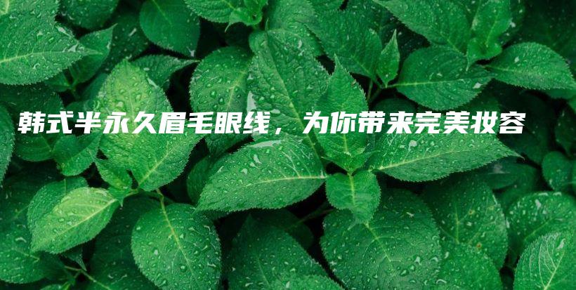 韓式半永久眉毛眼線，為你帶來(lái)完美妝容插圖