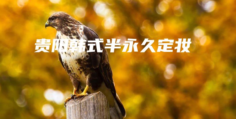 貴陽韓式半永久定妝插圖