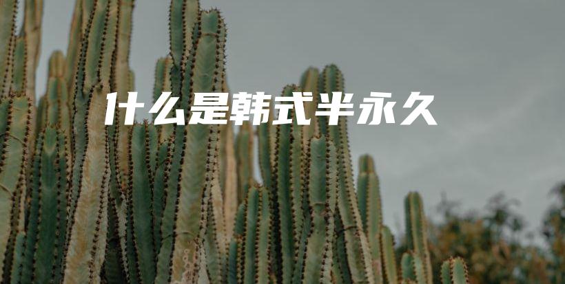 什么是韓式半永久插圖