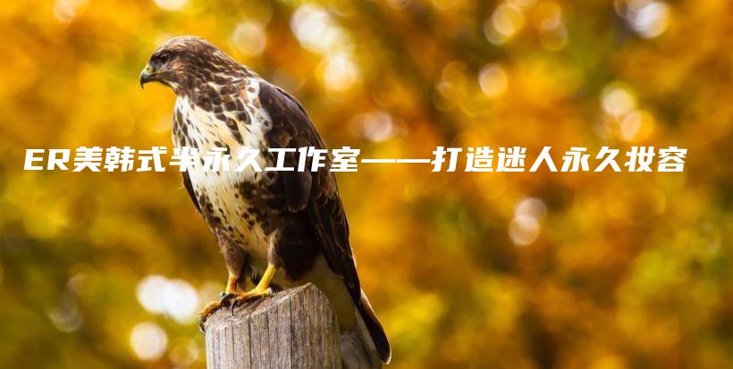 ER美韓式半永久工作室——打造迷人永久妝容插圖