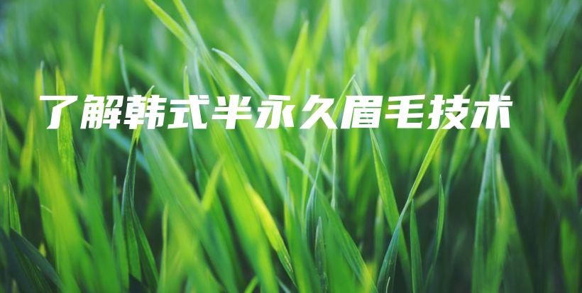 了解韓式半永久眉毛技術(shù)插圖
