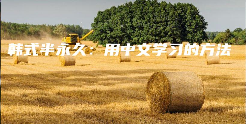 韓式半永久：用中文學習的方法插圖