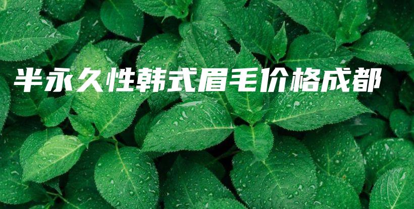 半永久性韓式眉毛價格成都插圖