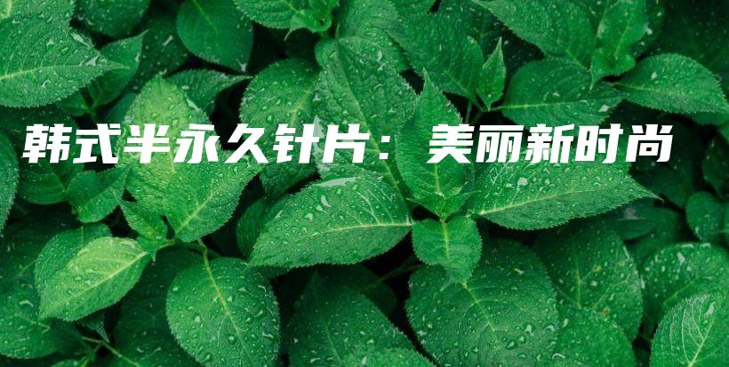 韓式半永久針片：美麗新時尚插圖