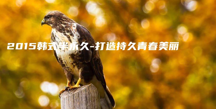 2015韓式半永久-打造持久青春美麗插圖