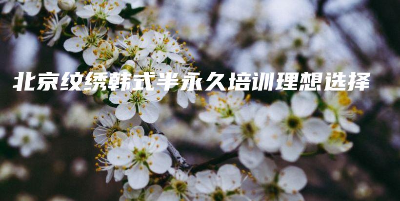 北京紋繡韓式半永久培訓(xùn)理想選擇插圖