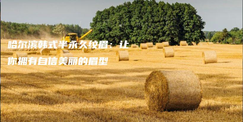 哈爾濱韓式半永久紋眉：讓你擁有自信美麗的眉型插圖