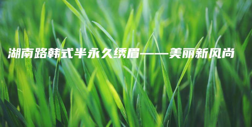 湖南路韓式半永久繡眉——美麗新風(fēng)尚插圖