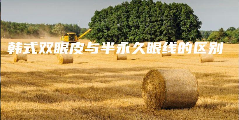 韓式雙眼皮與半永久眼線的區(qū)別插圖