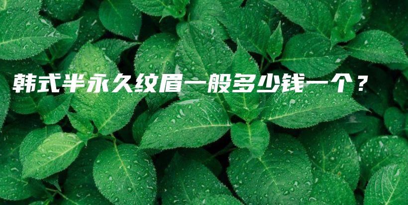 韓式半永久紋眉一般多少錢一個？插圖