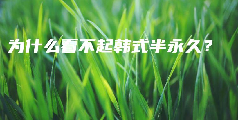 為什么看不起韓式半永久？插圖