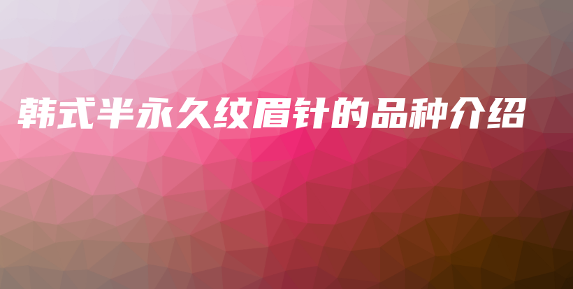 韓式半永久紋眉針的品種介紹插圖