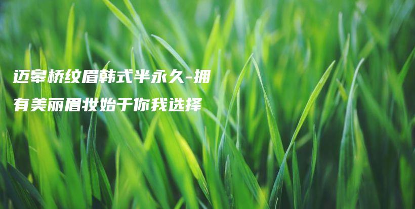 邁皋橋紋眉韓式半永久-擁有美麗眉妝始于你我選擇插圖