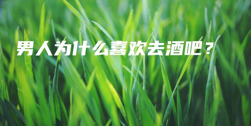 男人為什么喜歡去酒吧？插圖
