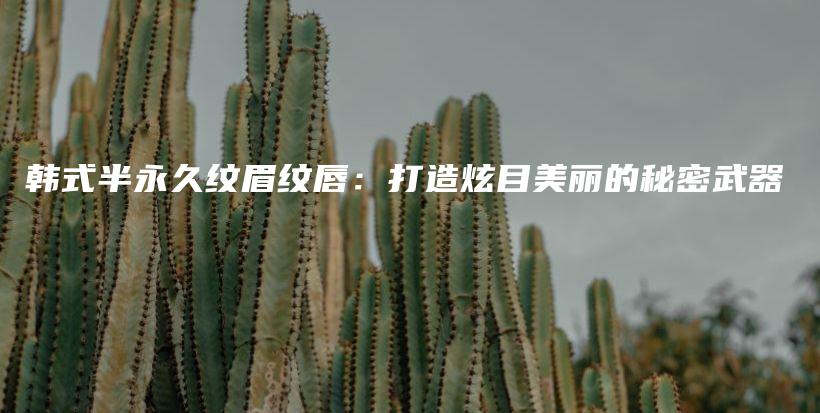 韓式半永久紋眉紋唇：打造炫目美麗的秘密武器插圖
