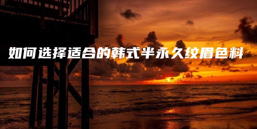 如何選擇適合的韓式半永久紋眉色料插圖