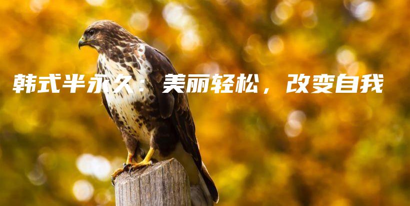 韓式半永久：美麗輕松，改變自我插圖
