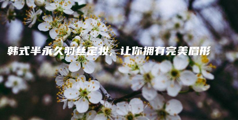 韓式半永久羽絲定妝, 讓你擁有完美眉形插圖